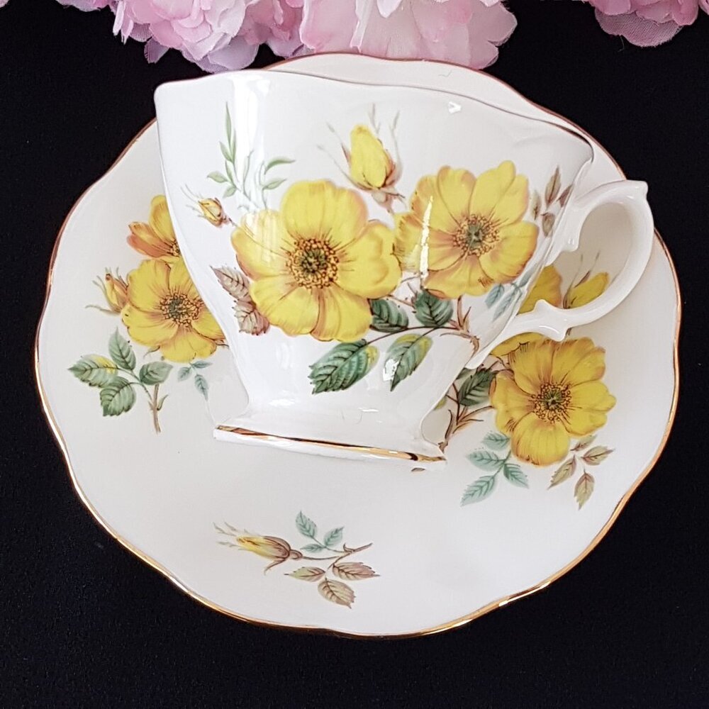 Royal Albert Yellow Wild Rose Tea Cup and Saucer Bone China England